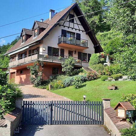 Chambres D'Hotes "Au Val Sejour" Alsace Saint-Martin  المظهر الخارجي الصورة