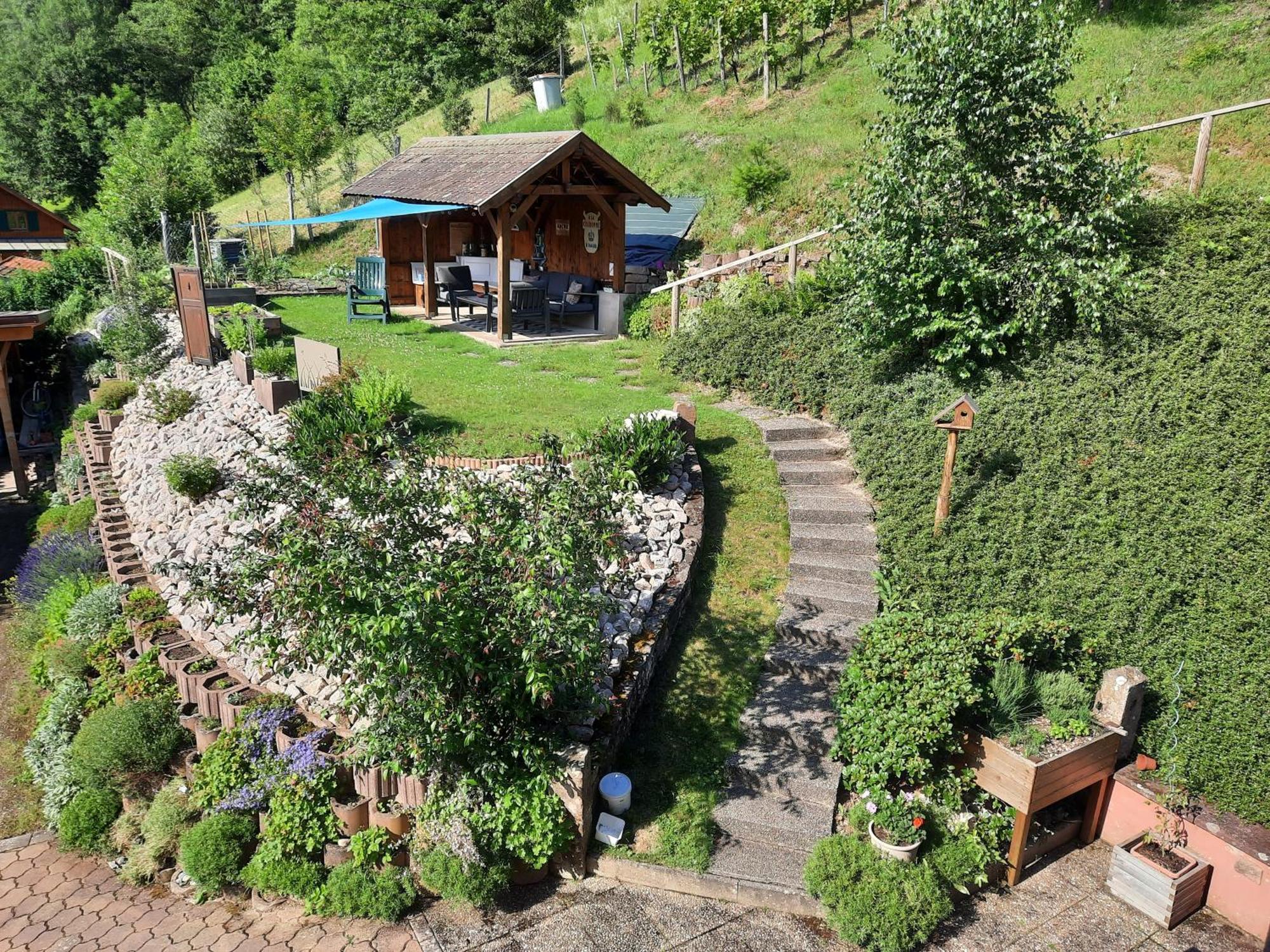 Chambres D'Hotes "Au Val Sejour" Alsace Saint-Martin  المظهر الخارجي الصورة