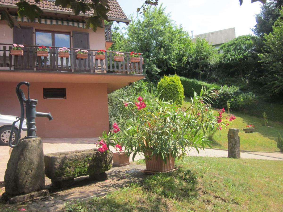 Chambres D'Hotes "Au Val Sejour" Alsace Saint-Martin  المظهر الخارجي الصورة