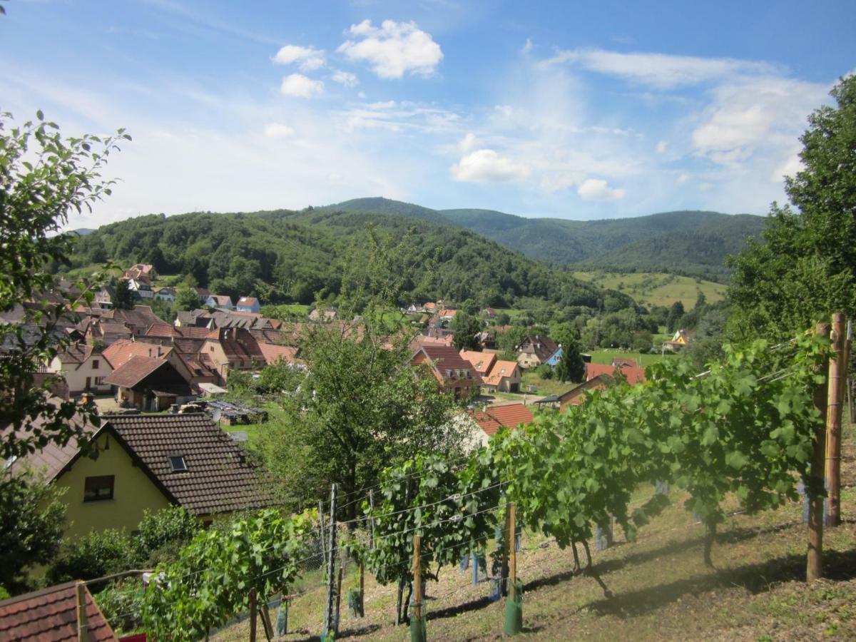 Chambres D'Hotes "Au Val Sejour" Alsace Saint-Martin  المظهر الخارجي الصورة